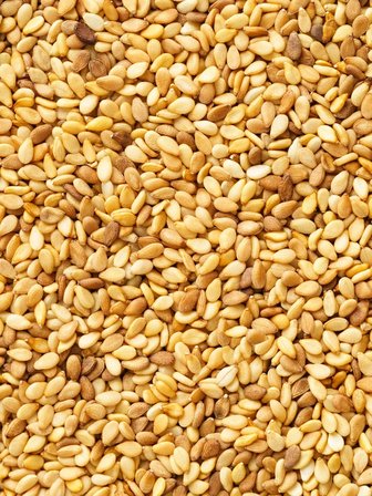 Doğal Susam 120 gr – Katkısız Taze Susam Tohumu