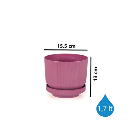 Omnipazar SO-S281 Dekoratif Tabaklı Lüks Çizgi Desenli Saksı 1.7 Litre