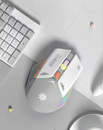 BWM1 KABLOSUZ OPTİK MOUSE ŞARJLI