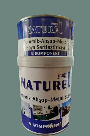 Fayans Boyası Tezgah, Mermer, Ahşap, Mobilya, Cam, Seramik, Kapı Boyası 1LT