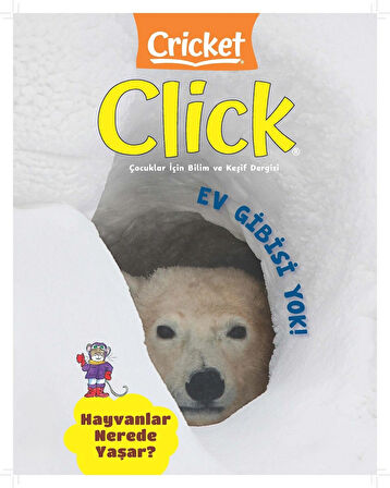 CRİCKET – CLİLCK ( YILDA 5 SAYI )