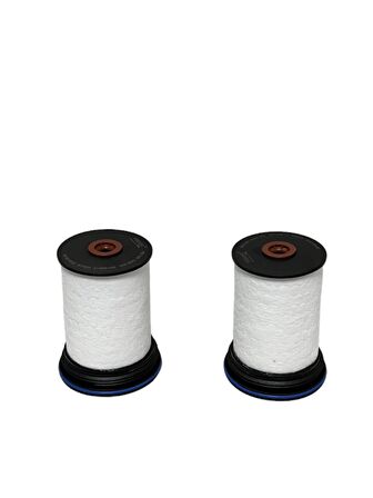 Chevrolet Captiva (2.0 D 120 Kw, 2.2 D 120-135 Kw) 2012-2018 Uzun Tip Yakıt Filtresi