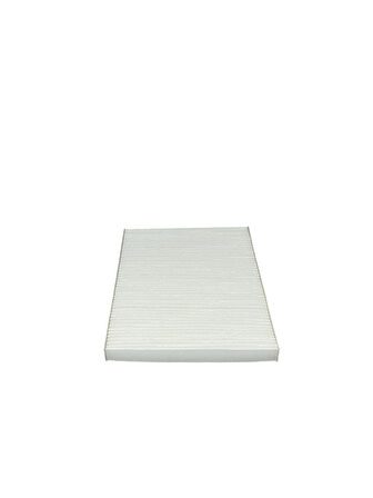 Waben Renault Koleos I 2008-2016 Polen Filtresi