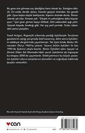 Bütün Öyküleri