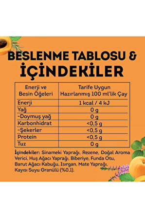Lipton Bardak Poşet Çay -Slim Plus Kayısılı 2'li Paket