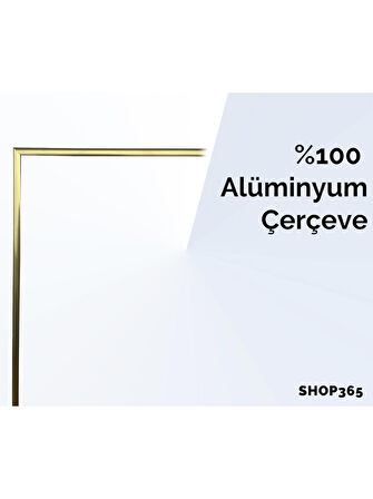 Shop365 Yapraklar ve Şekiller Karışık Renkler Modern Tablo Çerçeveli P-000868