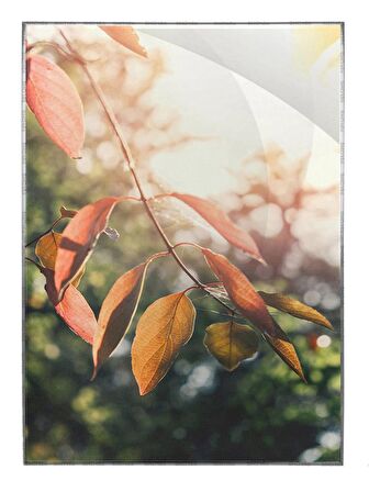 Shop365 Dikey Sonbahar Sonbahar Nature Arka Planı Çilek ve Yapraklar - Modern Sanat Tuval Poster P-0