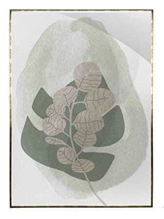 Shop365 Doğa Bitki Modern İllüstrasyon Tablo Çerçeveli P-002680