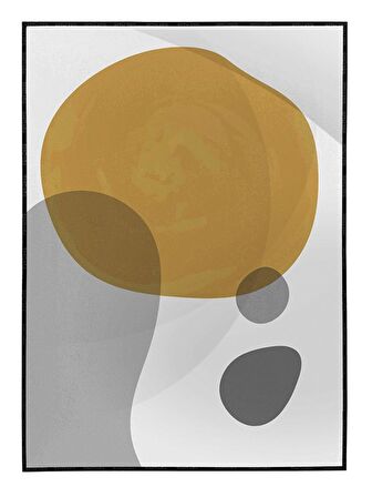 Shop365 Modern Çizimler İllüstrasyon Modern Tablo Çerçeveli P-003514