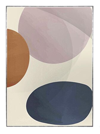 Shop365 Şekiller Karışık Renklerde Tablo Çerçeveli P-004000