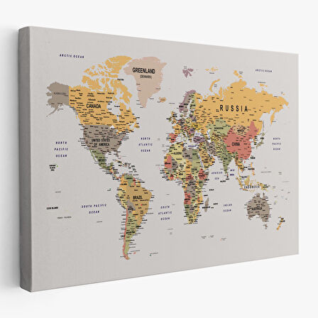 Harita Sepeti Detaylı Dünya Haritası Dekoratif Renkli Zeminli Kanvas Tablo 1676