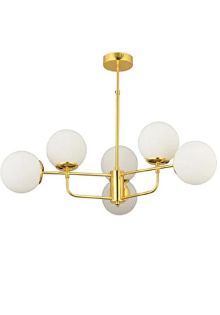  güneş 6lı gold 3554