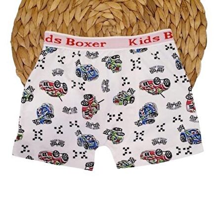 Desenli Erkek Çocuk Boxer - Sdf