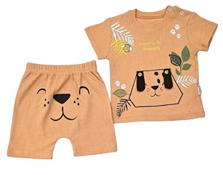 Erkek Bebek Şortlu Takım