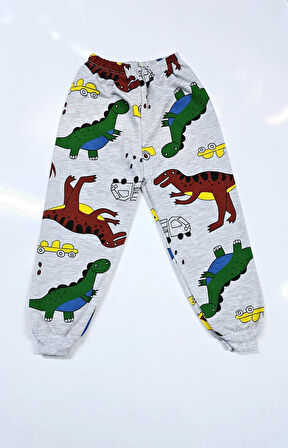 Dinazorlu Erkek Bebek Pijama Takım