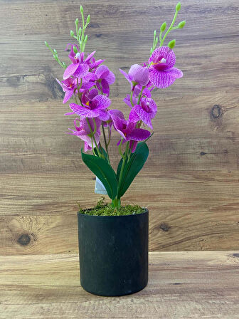 Yapay Çiçek Dekoratif Orkide 4 Dal Orkide Plastik Saksılı