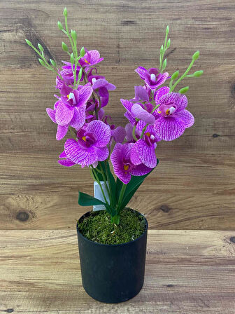 Yapay Çiçek Dekoratif Orkide 4 Dal Orkide Plastik Saksılı
