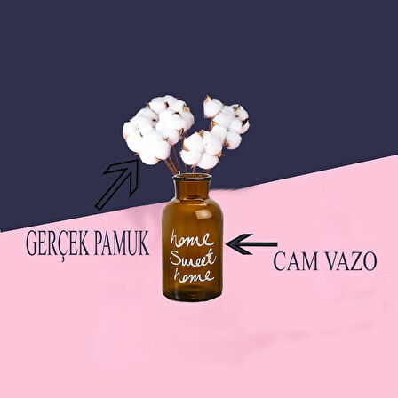 Cam Vazolu Pamuk Çiçek Dekor Amber Renk Gerçek Pamuk Kozalı