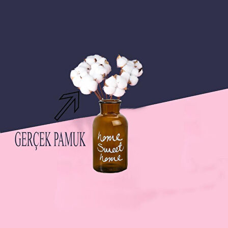 Cam Vazolu Pamuk Çiçek Dekor Amber Renk Gerçek Pamuk Kozalı