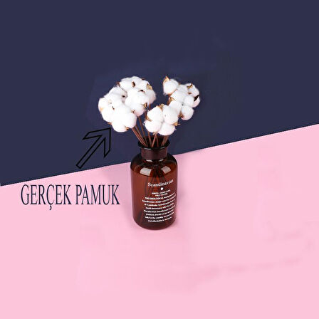 Cam Vazolu Pamuk Çiçek Dekor Amber Renk Gerçek Pamuk Kozalı Scandinavian