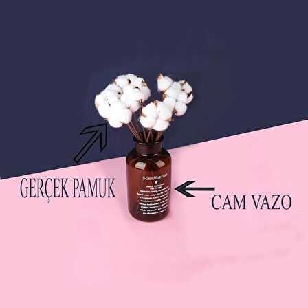 Cam Vazolu Pamuk Çiçek Dekor Amber Renk Gerçek Pamuk Kozalı Scandinavian