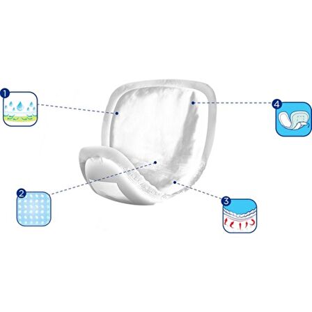 Canped Mesane Pedi Erkek Orta Boy Medium 12Li x 12 Adet