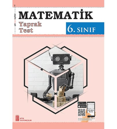 6.Sınıf Team Mate Practice Book + Combo (Metematik Yaprak Test hediyeli)