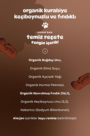 Humm Organic Organik Vegan Keçiboynuzlu ve Fındıklı Kurabiye 55g