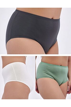 Kadın Büyük Beden Külot Full Brief (5XL, 6XL, 7XL) 5 Farklı Renk 1 Pakette