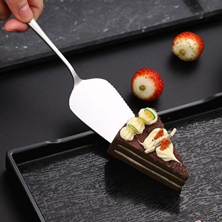 Çelik Silver Pasta Spatula Bıçak Seti Kek Sunum cin512by