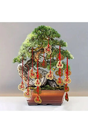 Feng Shui Şans Parası 3'lü Para Mıknatısı