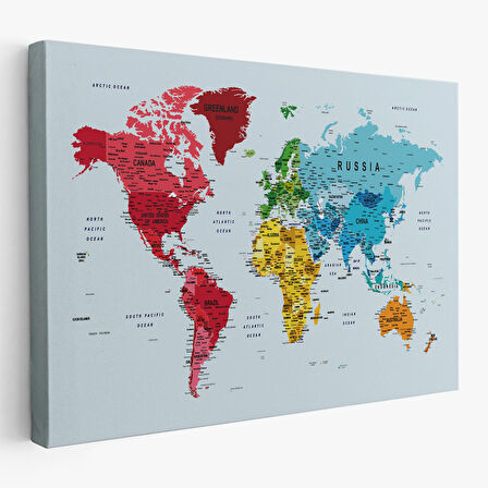 Harita Sepeti Detaylı Dünya Haritası Dekoratif Renkli Zeminli Kanvas Tablo 1700
