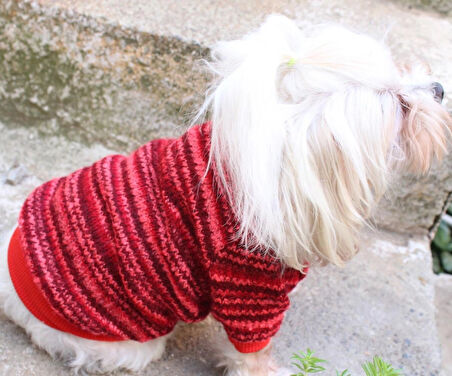 Kırmızı Köpek Kazak – Sıcak Tutan Şık Kışlık Köpek Giysisi