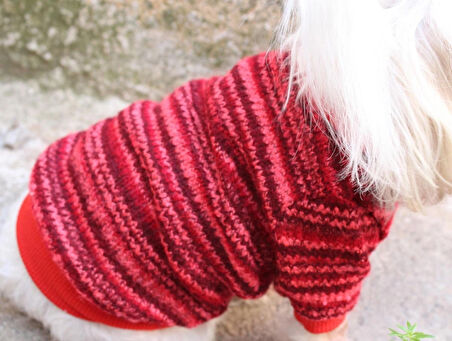 Kırmızı Köpek Kazak – Sıcak Tutan Şık Kışlık Köpek Giysisi