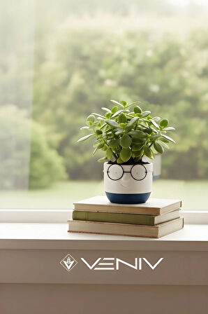 Dekoratif Profesör Gözlüklü Saksı 8x8 cm