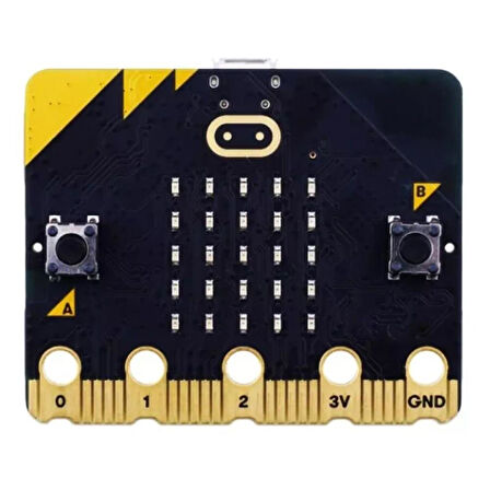 BBC Micro:Bit GO V2.2 Kit