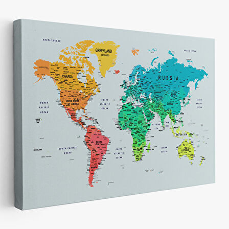 Harita Sepeti Detaylı Dünya Haritası Dekoratif Renkli Zeminli Kanvas Tablo 1710