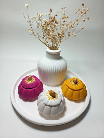 Tabaklı 3'lü Mini Balkabağı Vazo Dekoratif Set Random