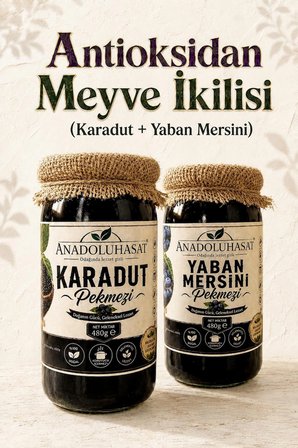 Meyve İkilisi Pekmez Seti – Karadut ve Yaban Mersini 2 x 480 ML
