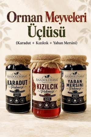Orman Meyveleri Üçlüsü Pekmez Seti – Karadut, Kızılcık ve Yaban Mersini 3 x 480 ML