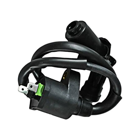 Deltaforce Ateşleme Bobini ve Buji Başlığı Mondial Rr 125