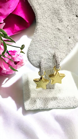 316 L Çelik Halkası Zirkon Taşlı Yıldız Detaylı Gümüş Altın Renk Küpe