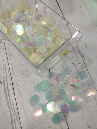 20 mm (2 cm) Hologram/Yanardöner Pul Çanta, Supla, Patik Pulu 25 gr 10 Şeffaf Yanardöner
