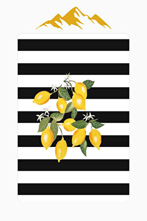 Parlak Kadife Kumaş Dijital Baskı Dot Kaymaz Tabanlı Mutfak Halısı H0041