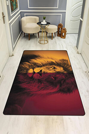  Parlak Kadife Kumaş Dijital Baskı Dot Kaymaz Tabanlı Çocuk ve Genç Odası Halısı H0707