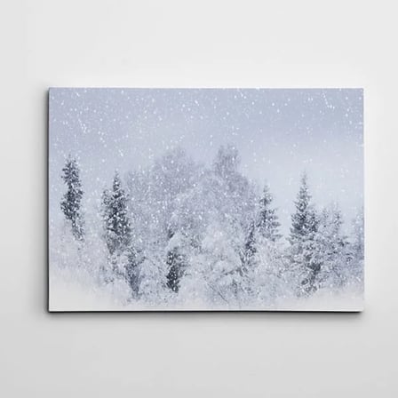 Kar Yağışı ve Manzara Kanvas Tablo