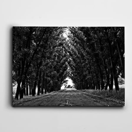 Yol ve Ağaçlar Kanvas Tablo