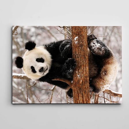 Sevimli Panda Kanvas Tablo