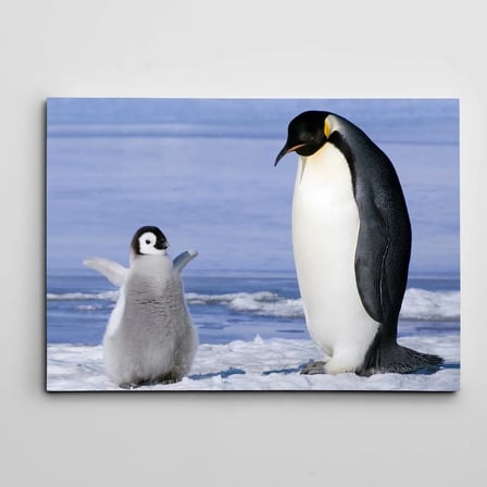 Sevimli Yavru Penguen Kanvas Tablo