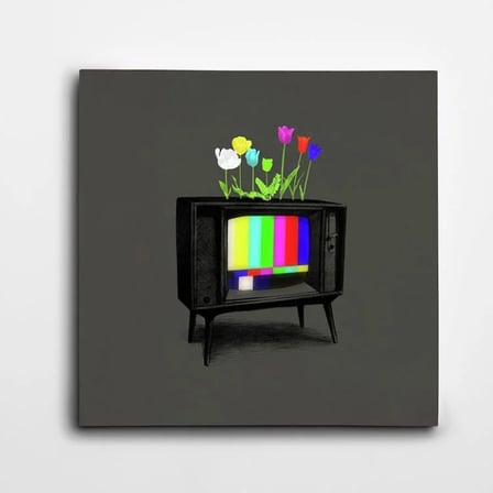 Televizyon Kare Kanvas Tablo